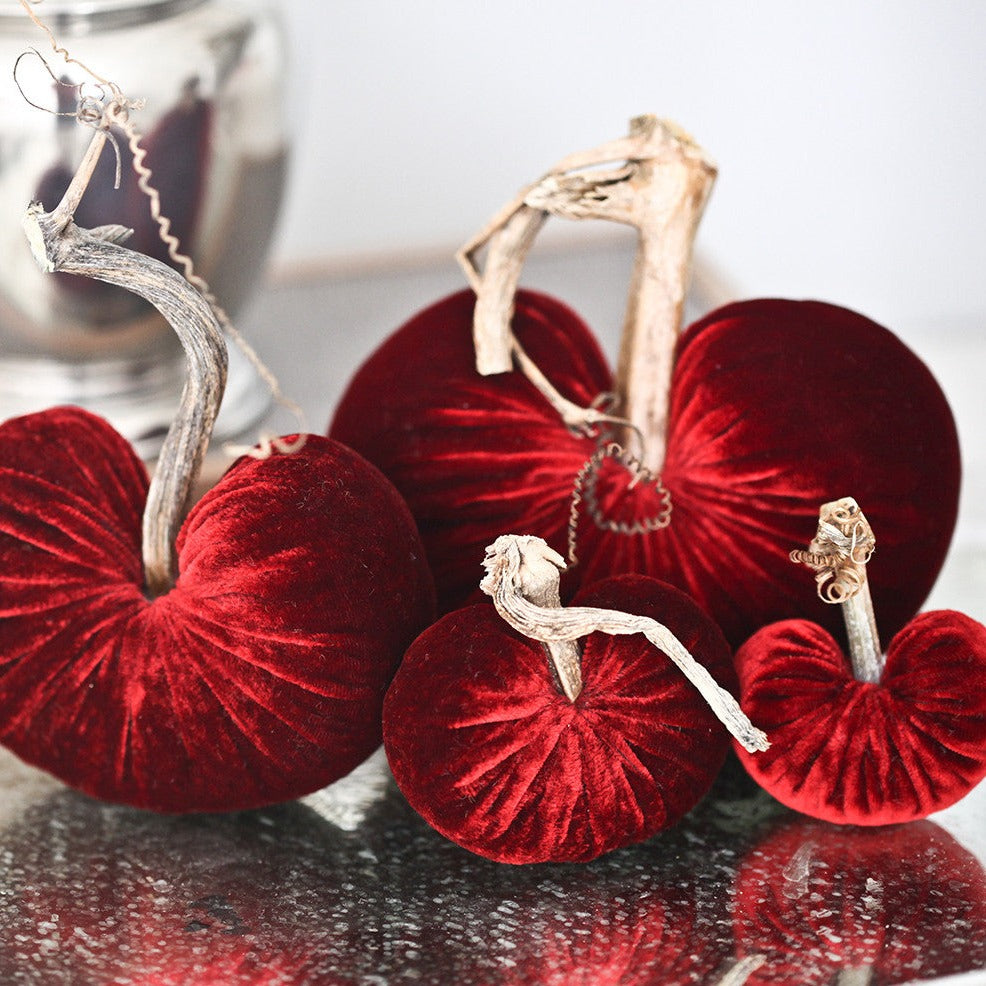 Classic Velvet Individual Hearts – Plush Pumpkin
