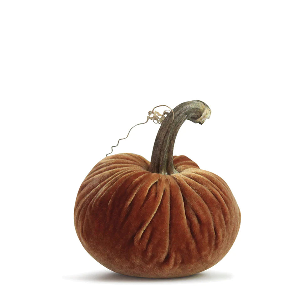 Spice 10" Pumpkin