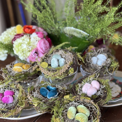 Spring Nest Set
