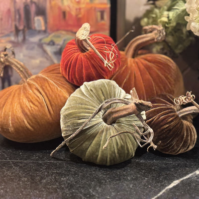 Woodland Harvest