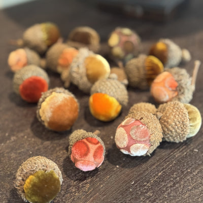 Small/Medium Acorns