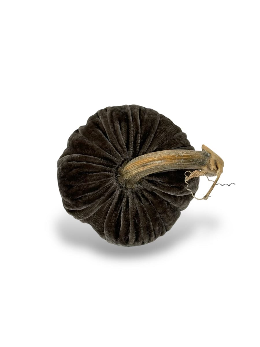 Coal Pumpkins