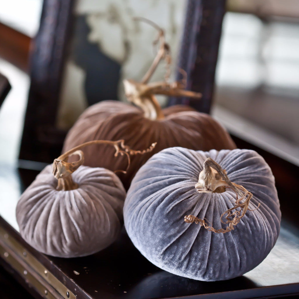 Pebble - Velvet Pumpkins