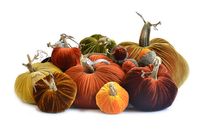The Great Harvest - Velvet Pumpkins