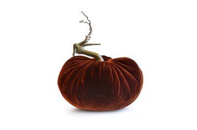 Autumn - Velvet Pumpkins