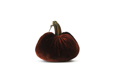 Harvest - Velvet Pumpkins