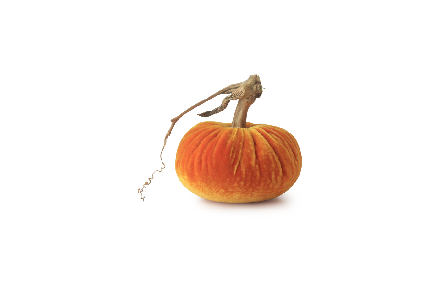 Hostess - Velvet Pumpkins