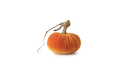 Hostess - Velvet Pumpkins