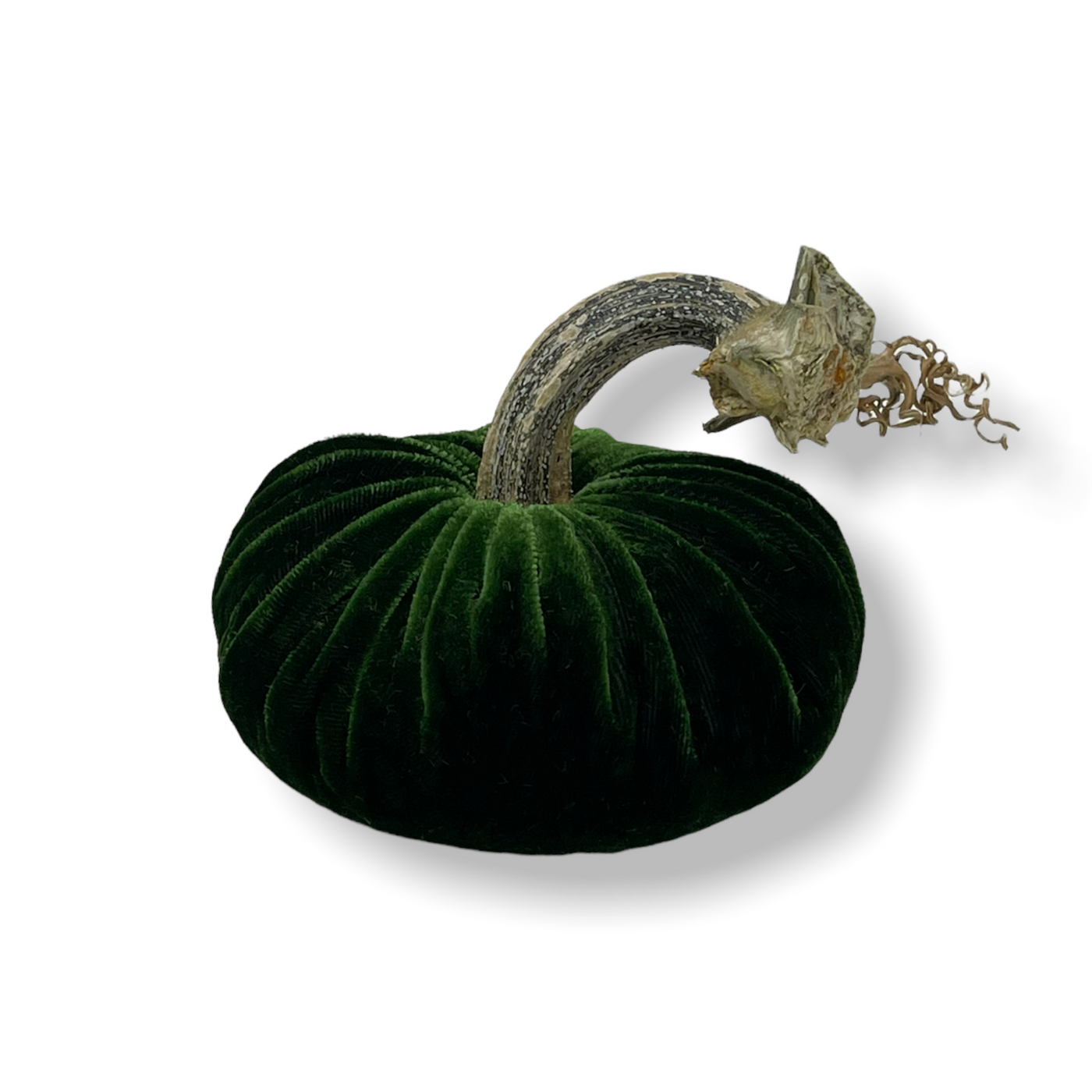 Emerald Green Pumpkins