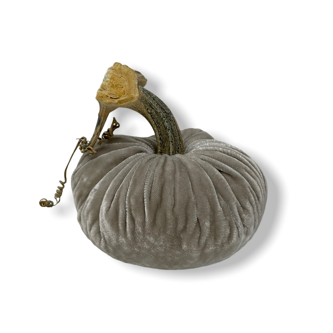 Putty Pumpkins