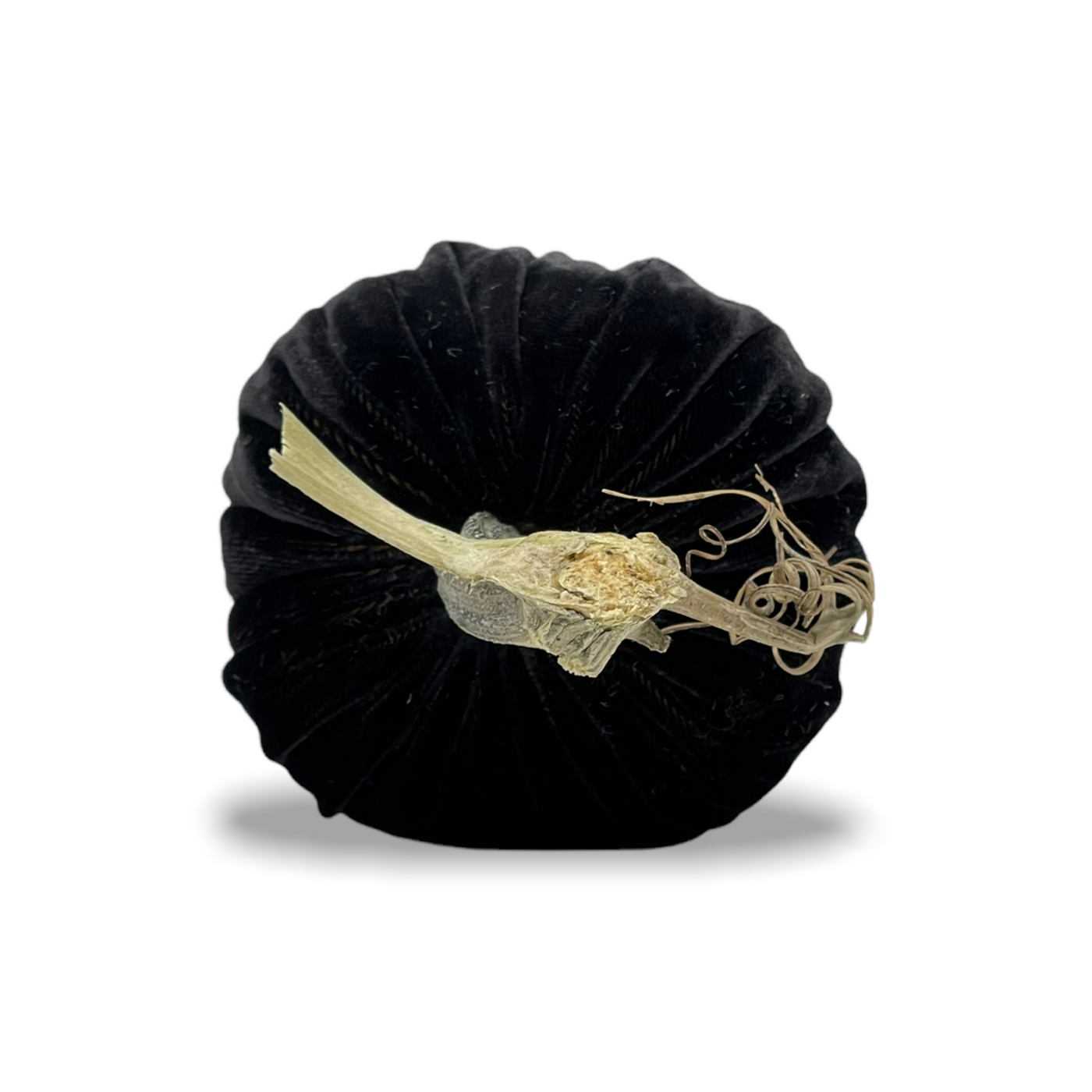 Black Mink Pumpkins