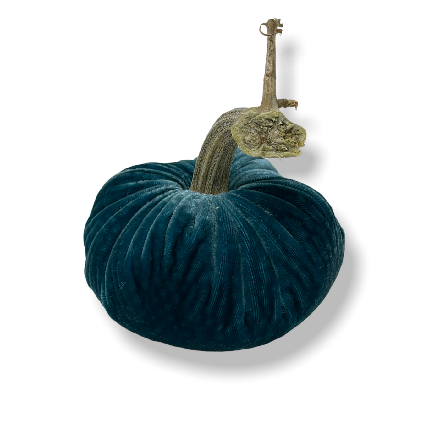 Peacock Pumpkins