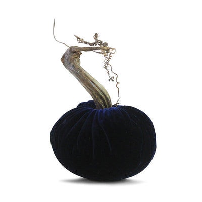 Navy Pumpkins