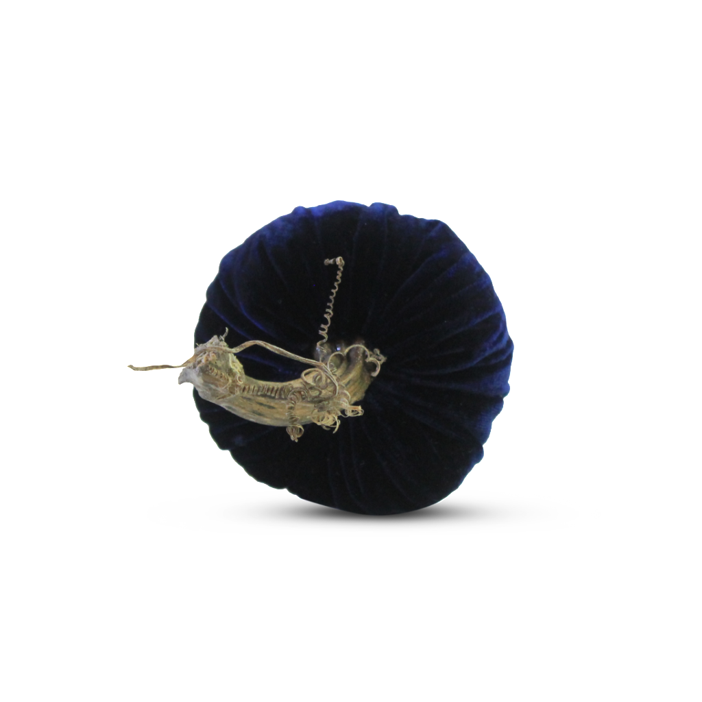 Navy Pumpkins