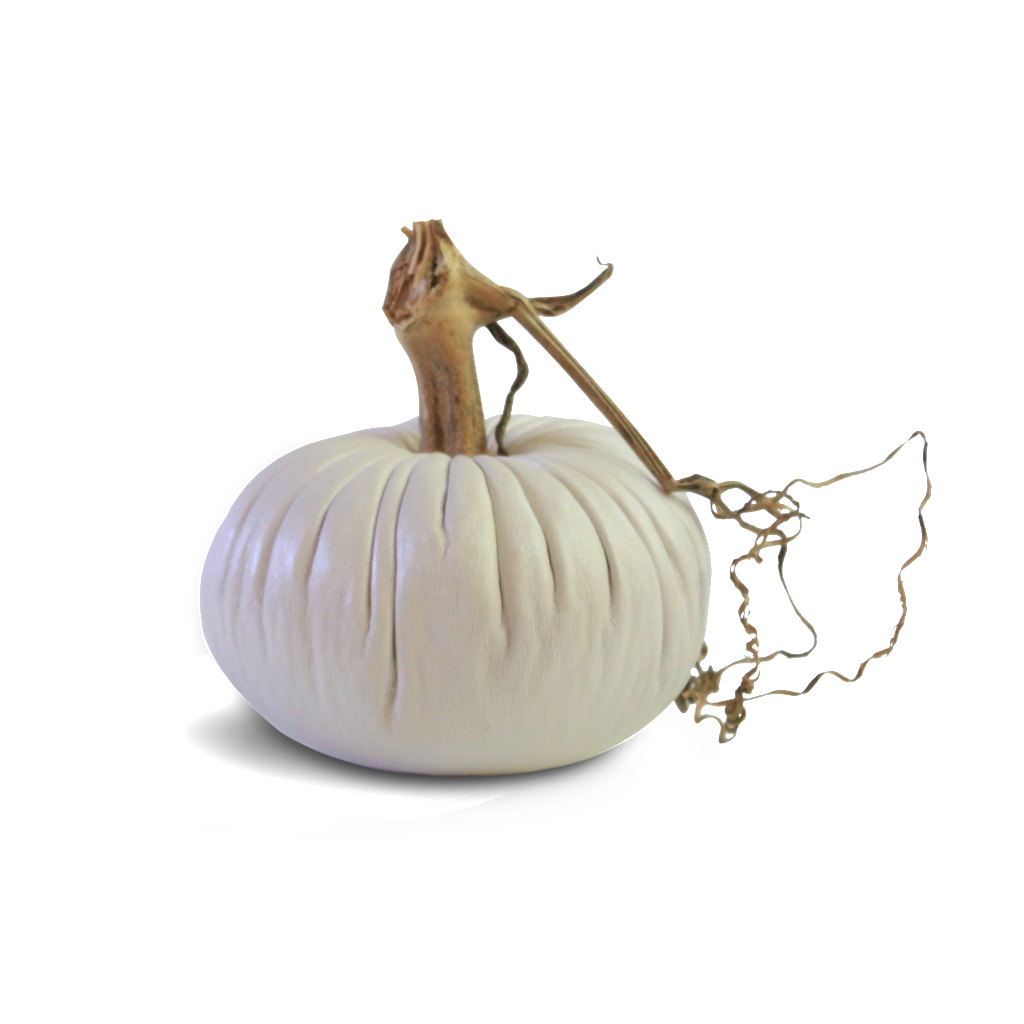Pearl Pumpkins - Velvet Pumpkins