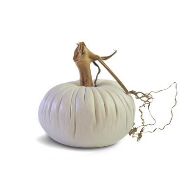 Pearl Pumpkins - Velvet Pumpkins