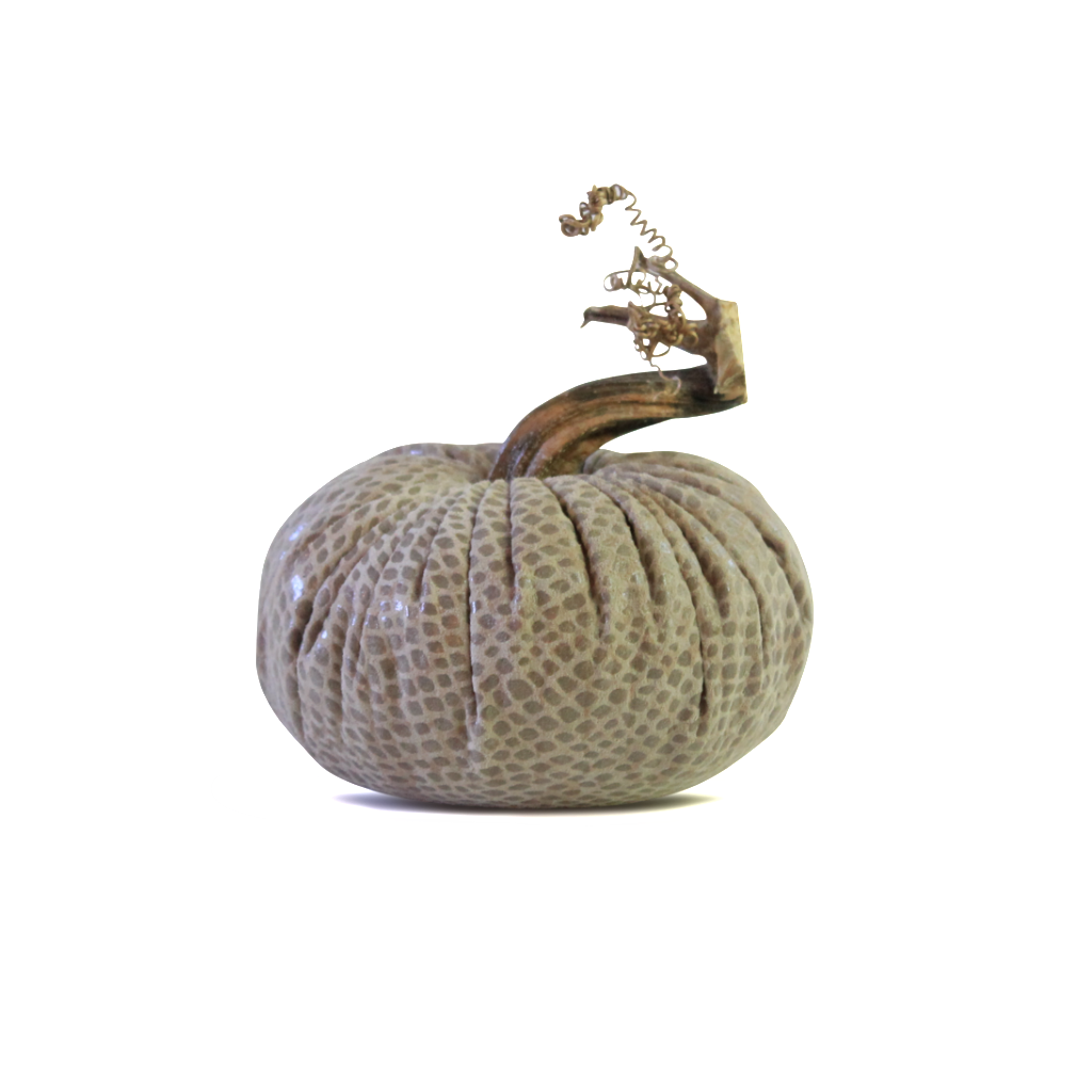 Python Pumpkins - Velvet Pumpkins