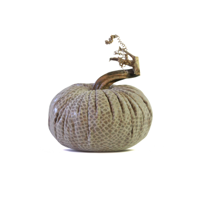 Python Pumpkins - Velvet Pumpkins