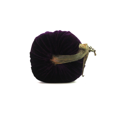 Royal Pumpkins - Velvet Pumpkins