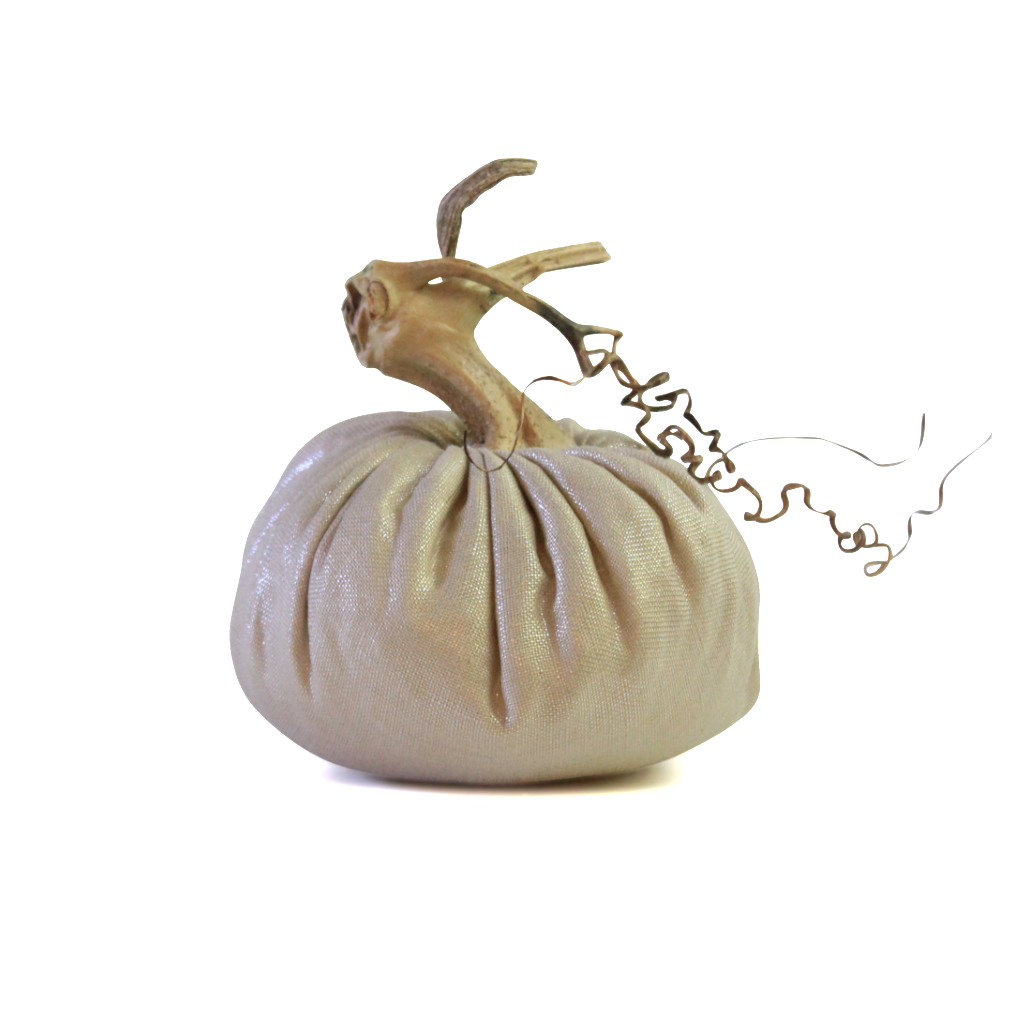 Silver Sand Pumpkins - Velvet Pumpkins