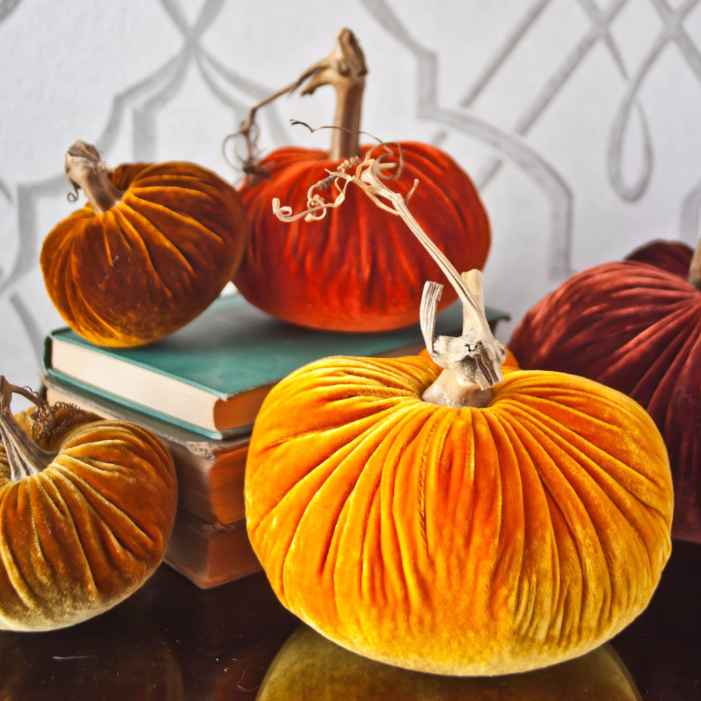Harvest Collection - Velvet Pumpkins