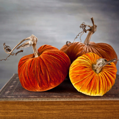 Sunrise - Velvet Pumpkins