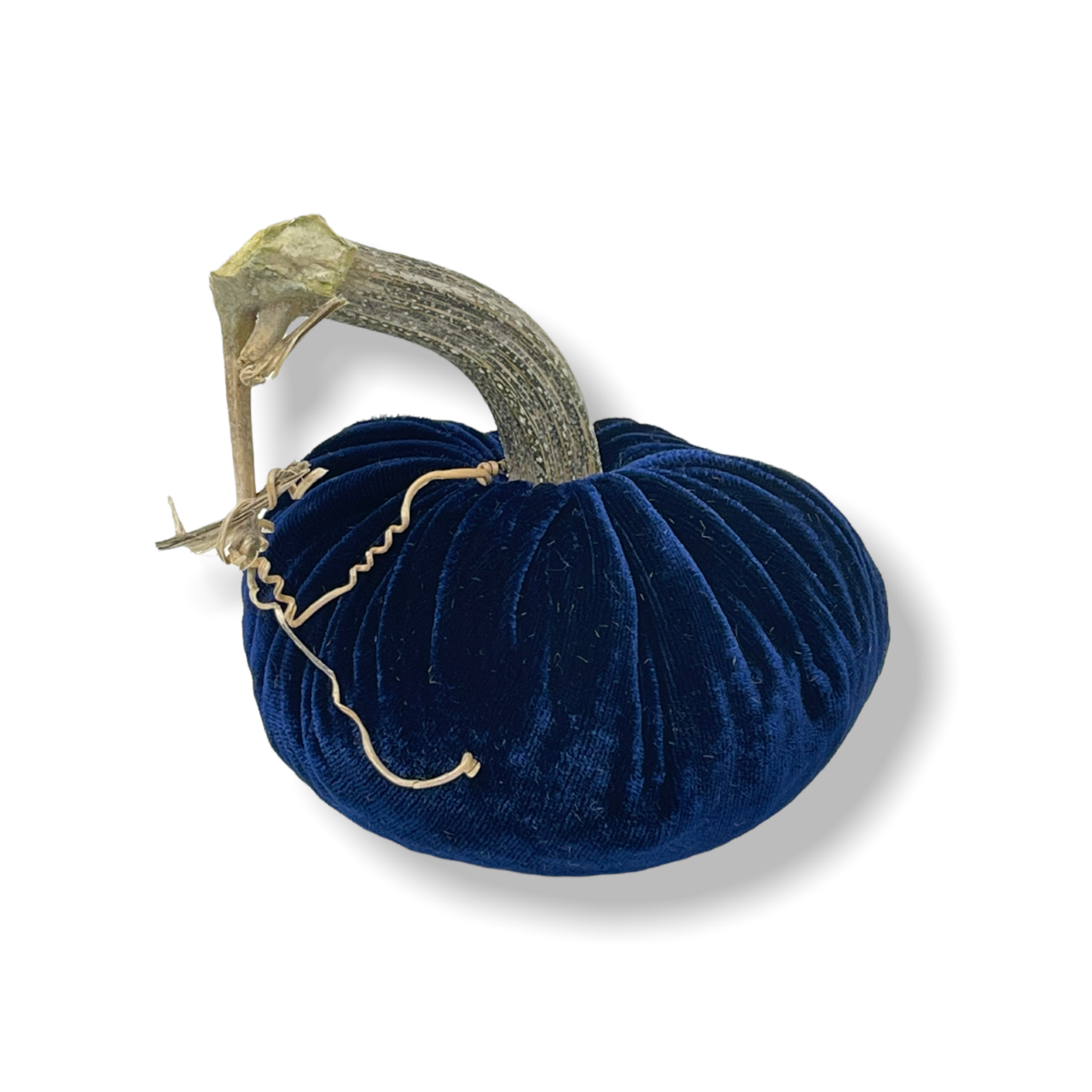 Navy Pumpkins