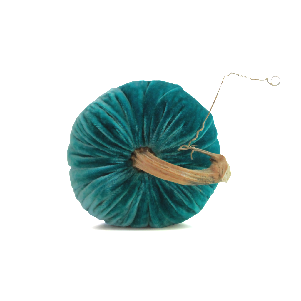 Turquoise Pumpkins - Velvet Pumpkins